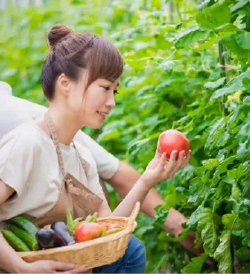 体感すまいパーク柏の住宅展示場