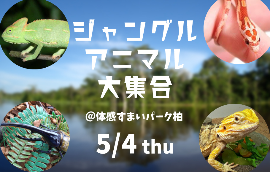 ＜柏＞ジャングルアニマル大集合！