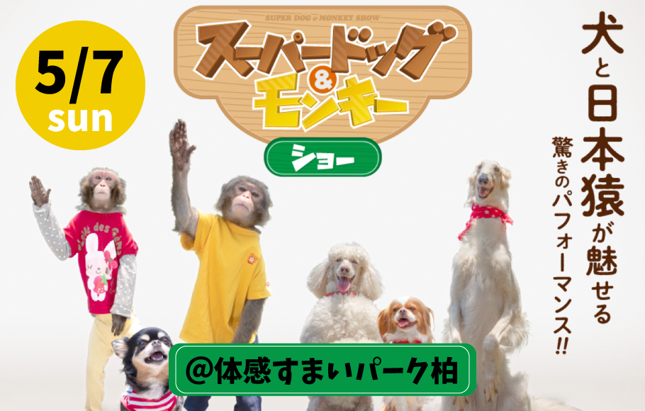 ＜柏＞スーパードッグ＆モンキーショー！