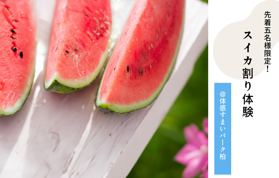 【先着5名様限定】疑似スイカ割り体験♪スイカプレゼント＜体感すまいパーク柏＞