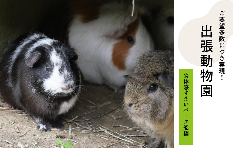 【体感すまいパーク船橋】7/15出張動物園♪＜ご要望多数につきついに実現！＞
