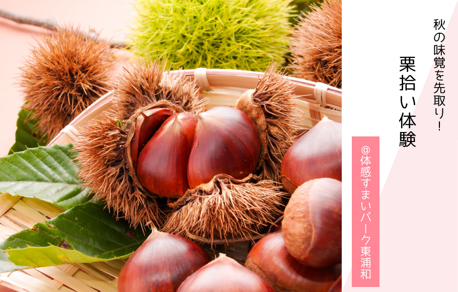 【秋の味覚を先取り！】栗拾いを楽しもう♪＜体感すまいパーク東浦和＞