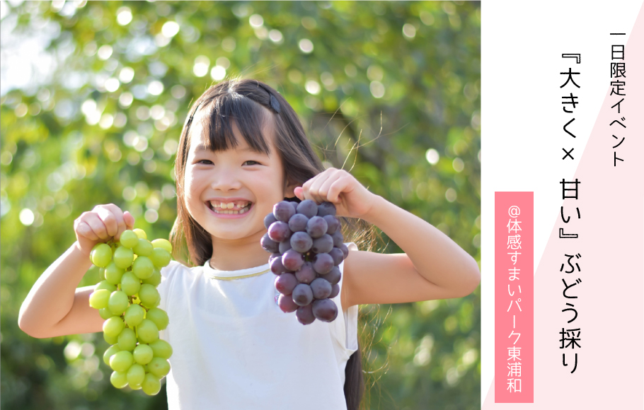 【1日限定】9/17(日)開催! ぶどう採り体験＜体感すまいパーク東浦和＞