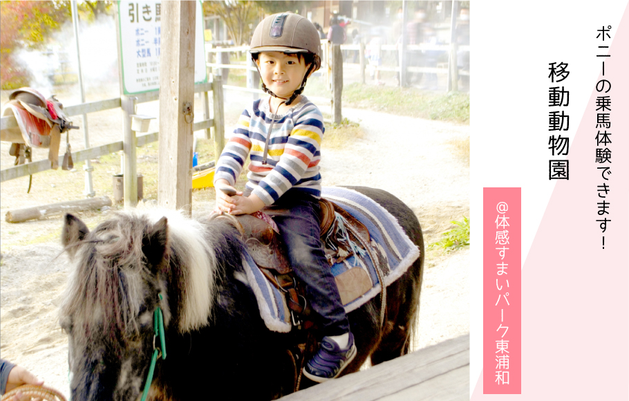 【ポニーの乗馬体験できます】移動動物園！〈体感すまいパーク東浦和〉