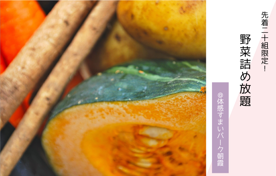【先着20組限定】野菜詰め放題〈体感すまいパーク朝霞〉
