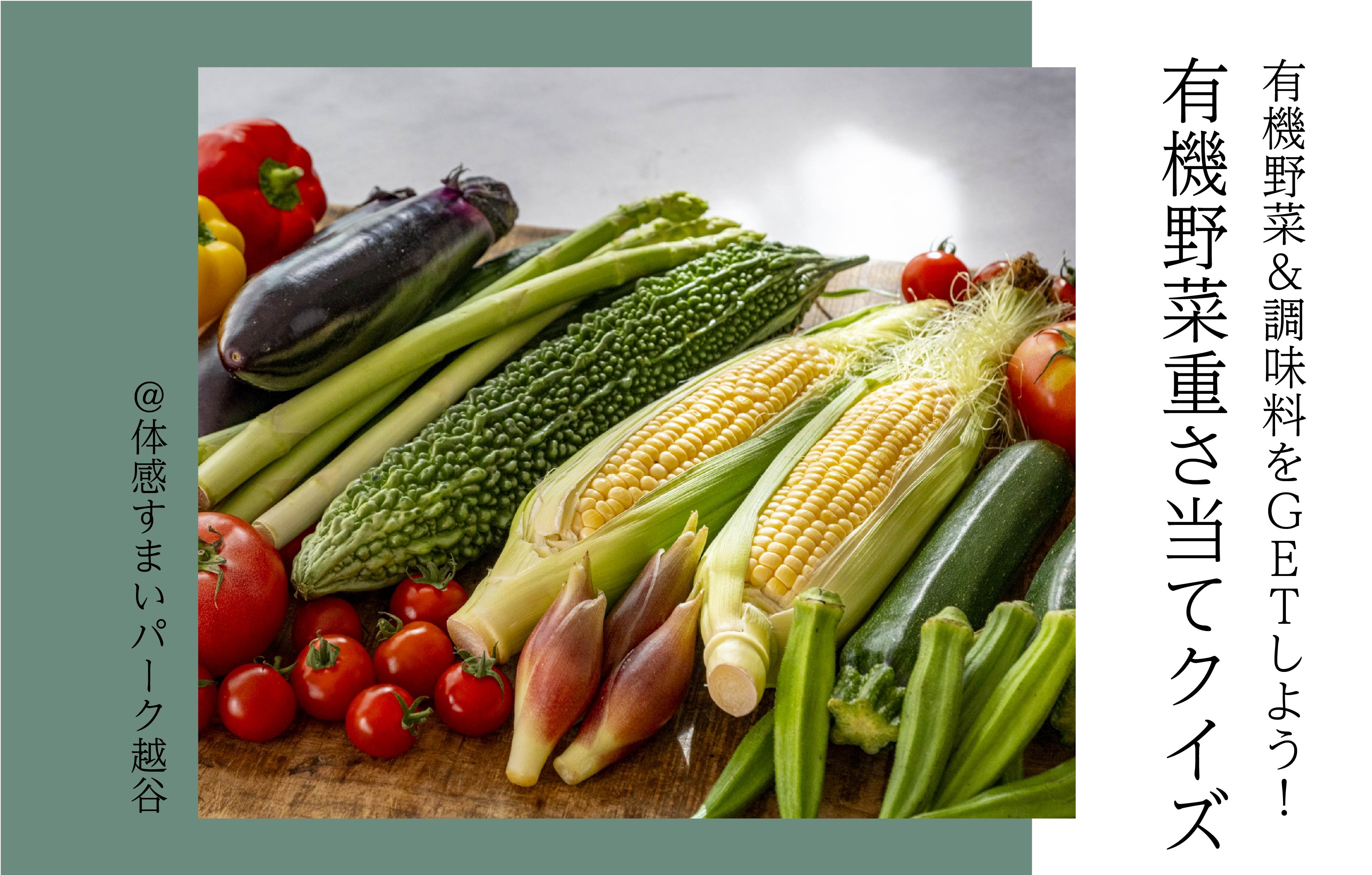 【有機野菜をGETしよう】有機野菜の重さ当てクイズ〈体感すまいパーク越谷〉