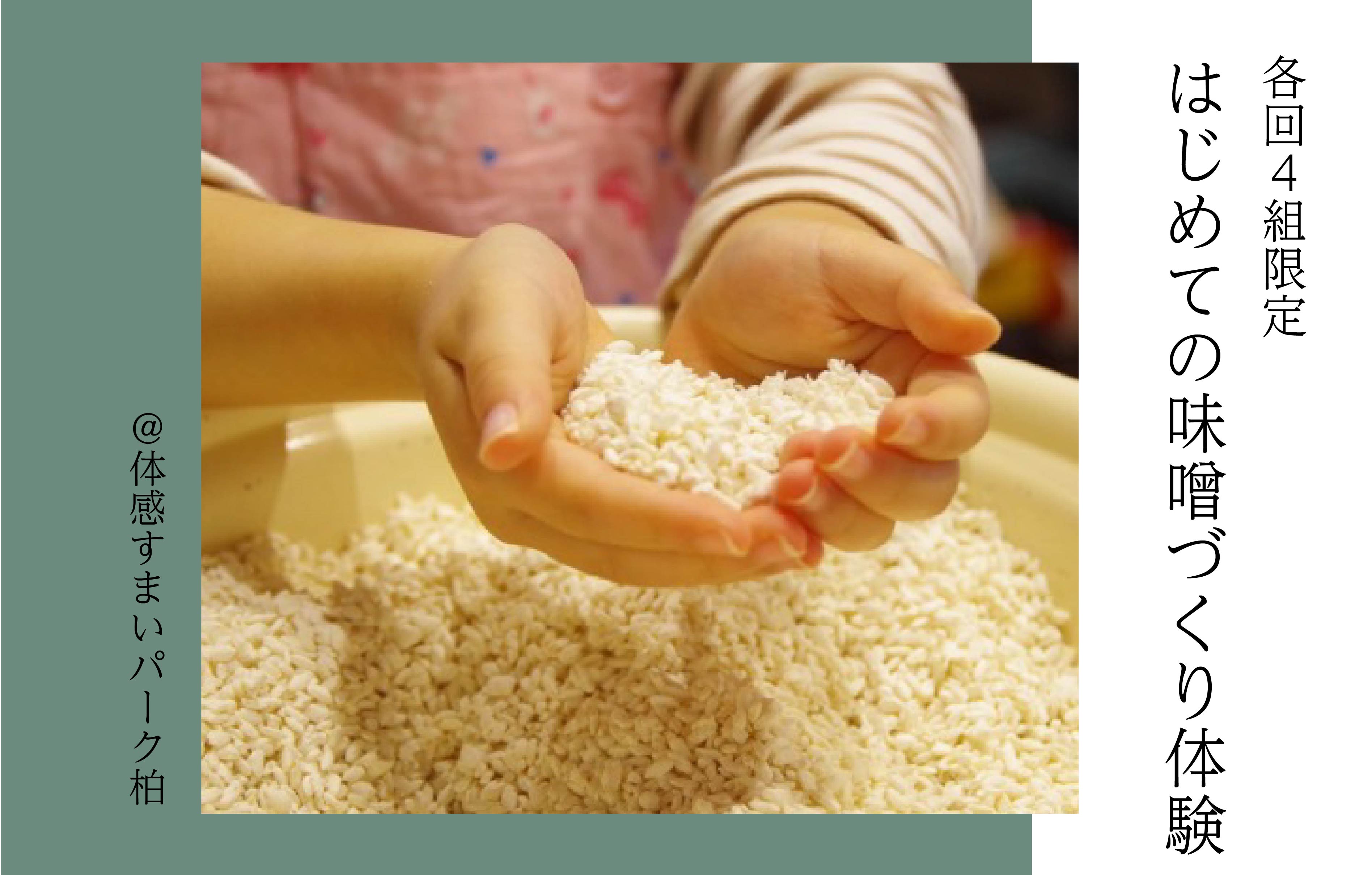 【各回4組限定】はじめての味噌づくり体験＜体感すまいパーク柏＞