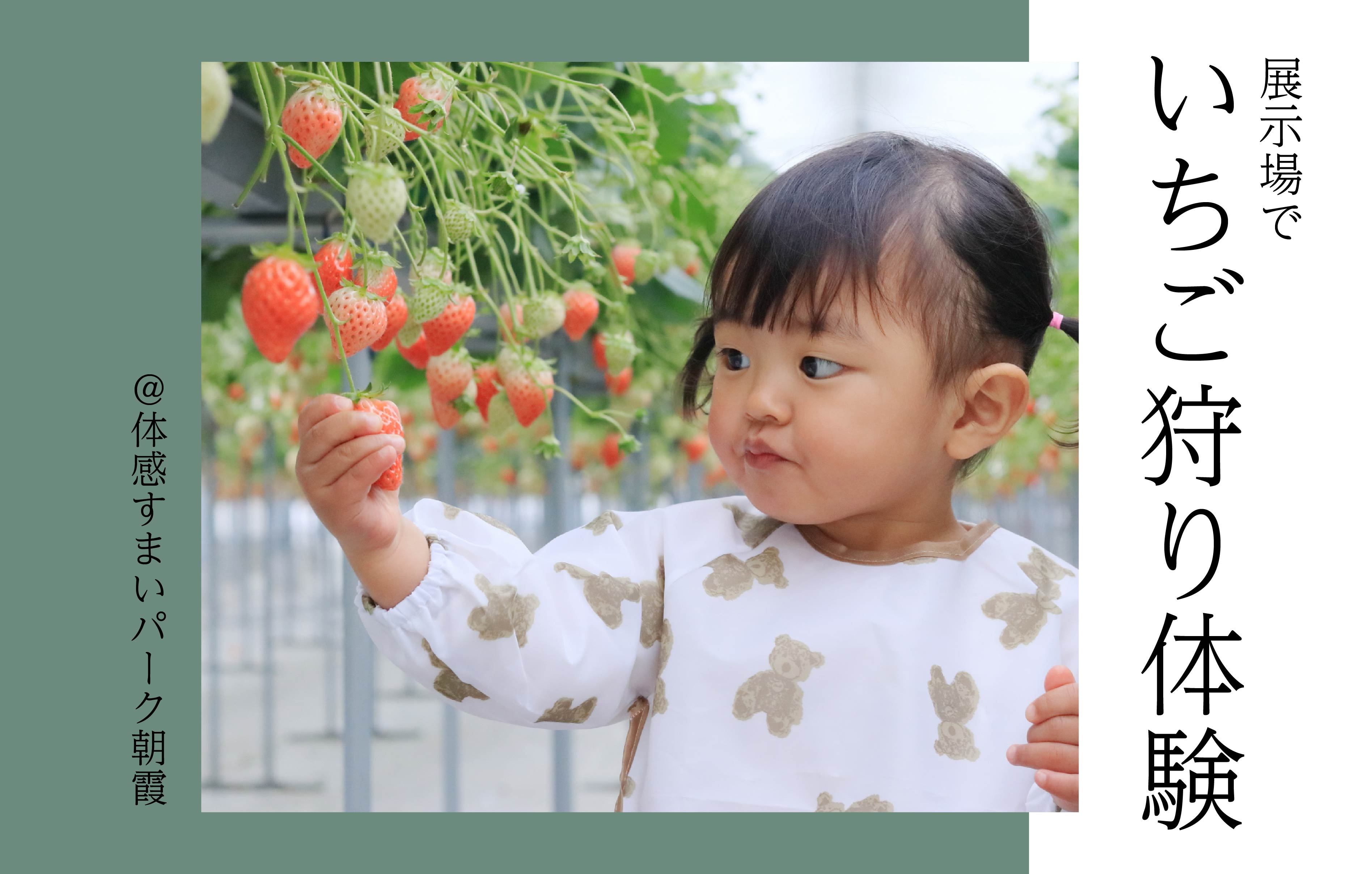 【住宅展示場で】いちご狩り体験＜体感すまいパーク朝霞＞