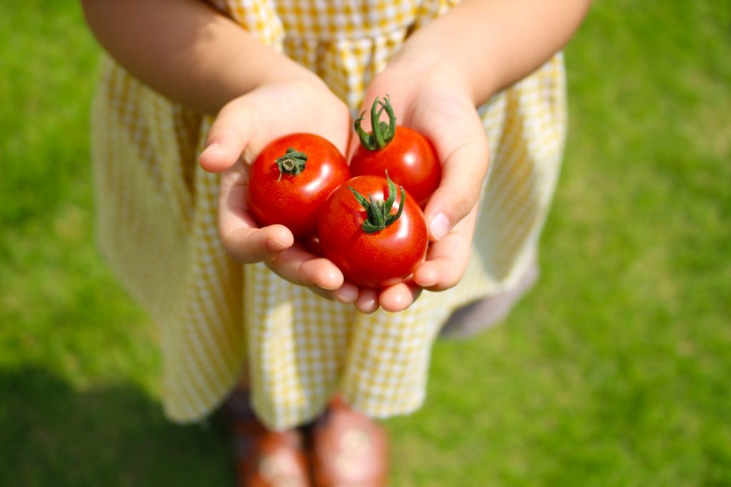 家庭菜園を楽しむ子供