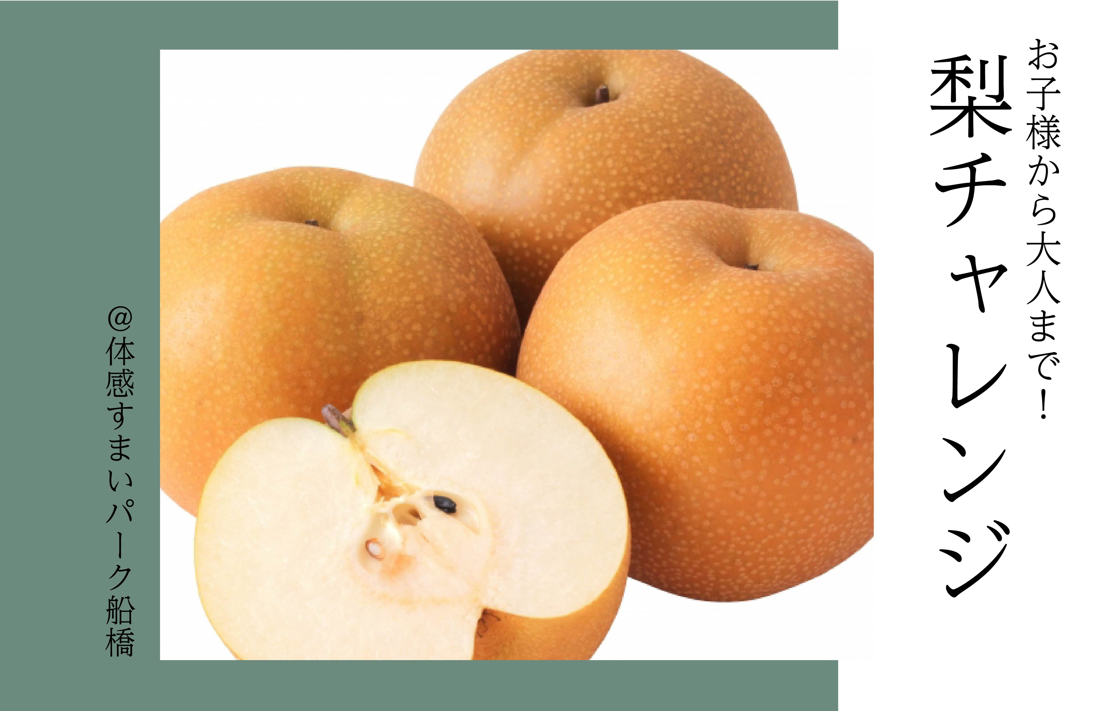 【お子様から大人まで】梨チャレンジ＜体感すまいパーク船橋＞