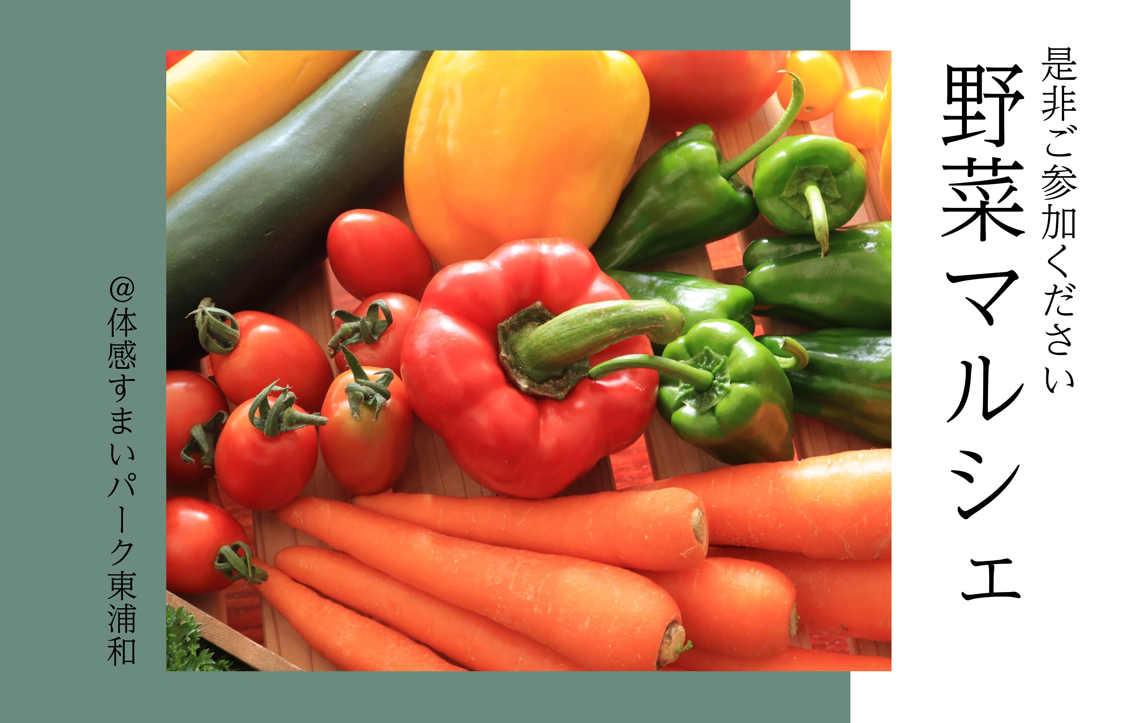 【ワクワク】野菜マルシェ＜体感すまいパーク東浦和＞