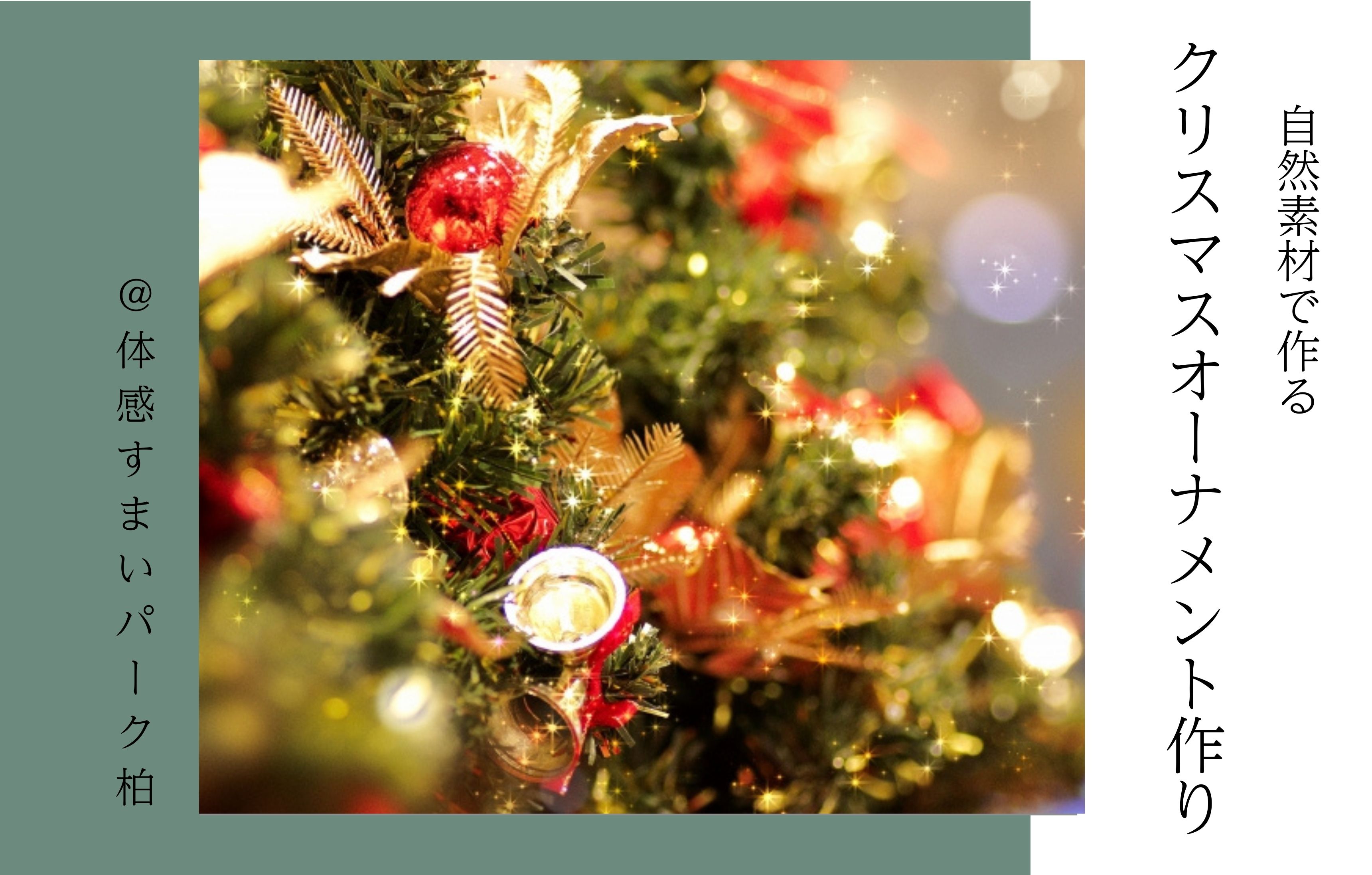 【自然素材で作る】クリスマスオーナメント作り＜体感すまいパーク柏＞